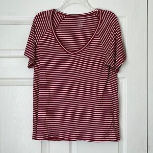 Striped American Eagle V-Neck